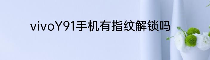 vivoY91手机有指纹解锁吗