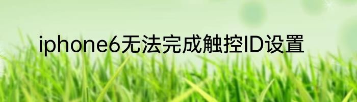 iphone6无法完成触控ID设置