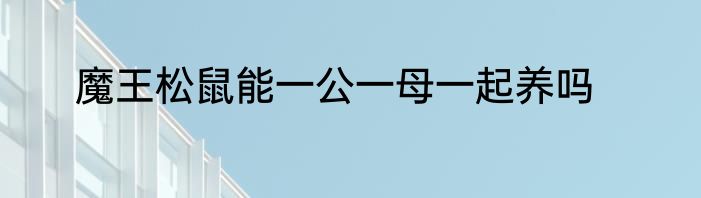 魔王松鼠能一公一母一起养吗