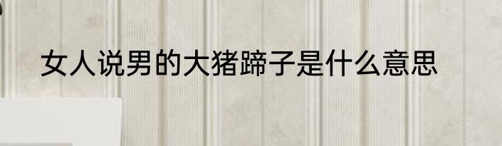 女人说男的大猪蹄子是什么意思