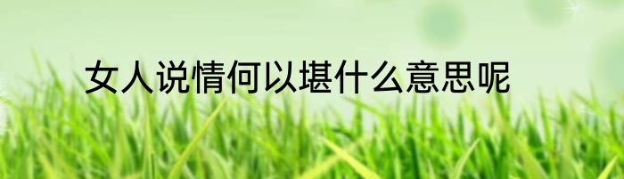 女人说情何以堪什么意思呢
