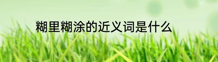 糊里糊涂的近义词是什么
