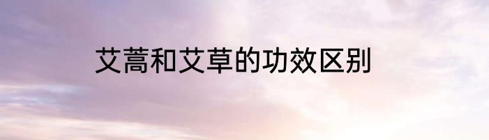 艾蒿和艾草的功效区别