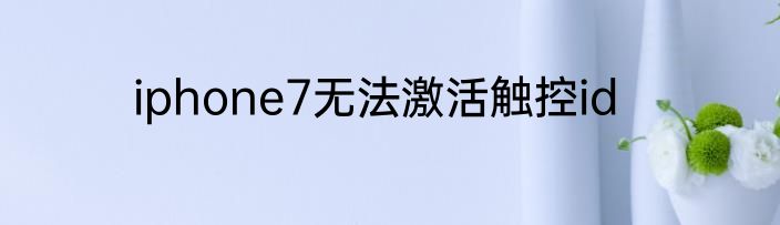 iphone7无法激活触控id
