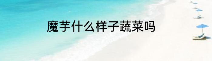 魔芋什么样子蔬菜吗