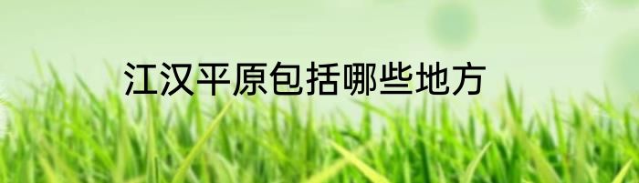 江汉平原包括哪些地方