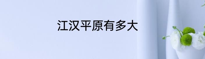 江汉平原有多大