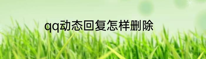 qq动态回复怎样删除
