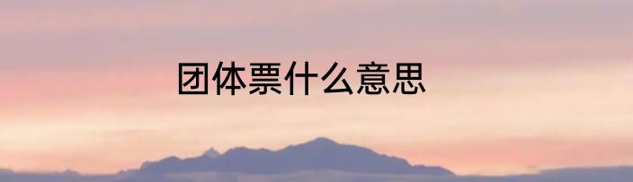 团体票什么意思