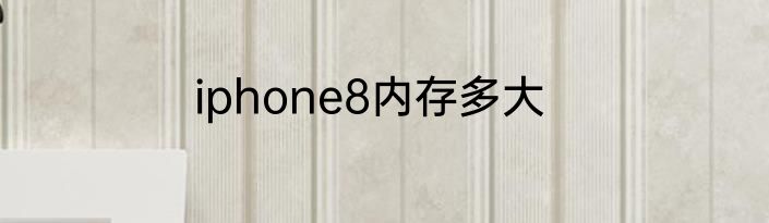 iphone8内存多大