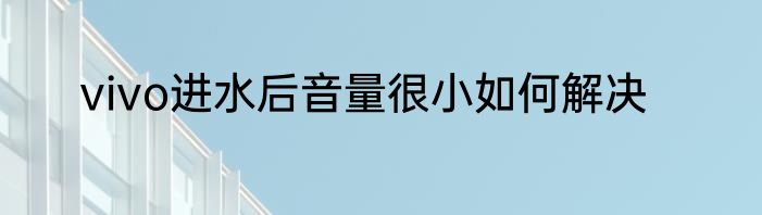 vivo进水后音量很小如何解决