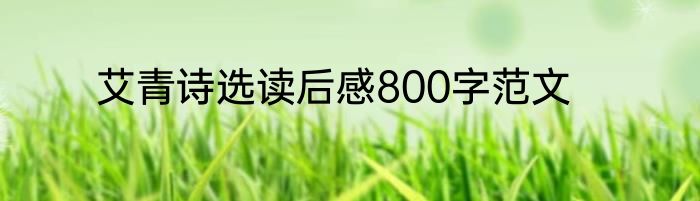 艾青诗选读后感800字范文