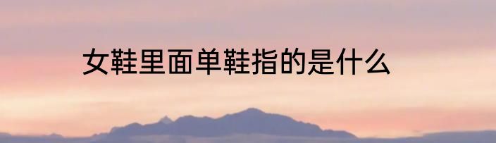 女鞋里面单鞋指的是什么