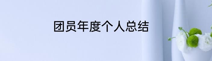 团员年度个人总结