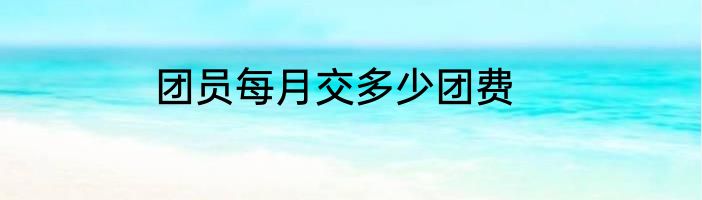 团员每月交多少团费