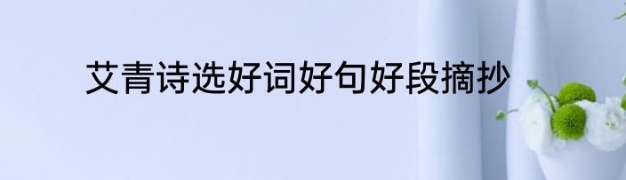 艾青诗选好词好句好段摘抄