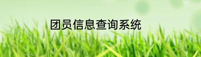 团员信息查询系统