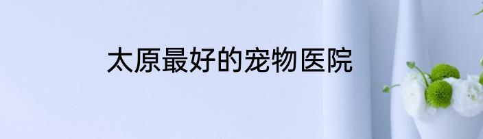 太原最好的宠物医院