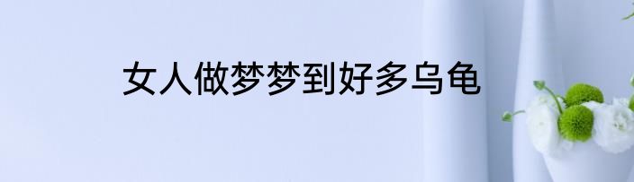 女人做梦梦到好多乌龟