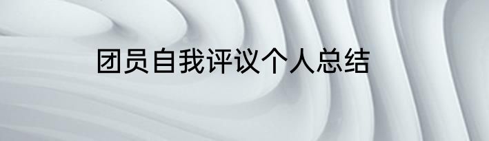 团员自我评议个人总结