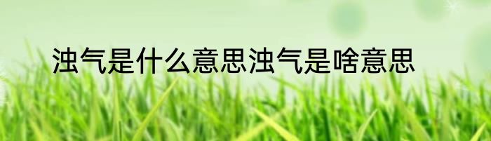 浊气是什么意思浊气是啥意思