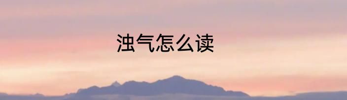 浊气怎么读