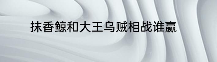 抹香鲸和大王乌贼相战谁赢