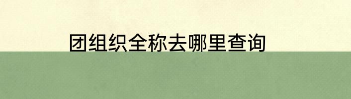 团组织全称去哪里查询