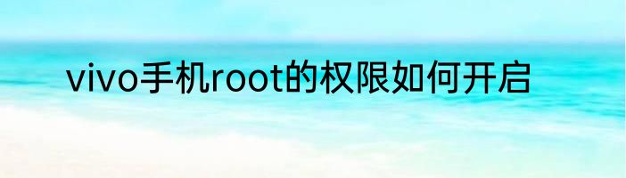 vivo手机root的权限如何开启