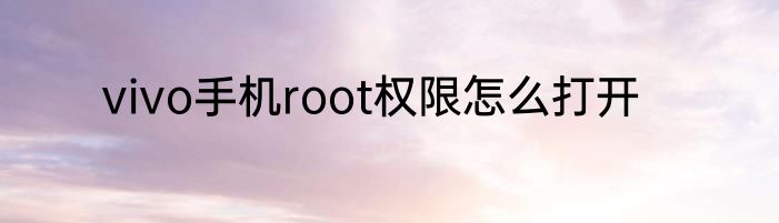vivo手机root权限怎么打开