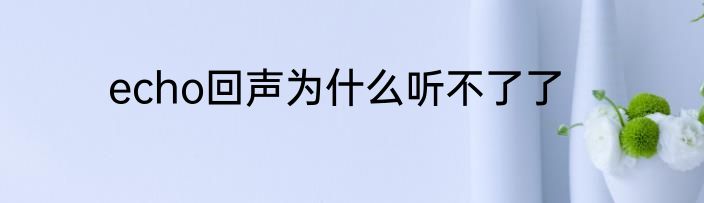 echo回声为什么听不了了