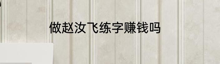 做赵汝飞练字赚钱吗