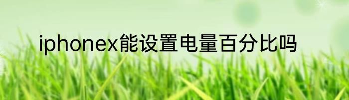 iphonex能设置电量百分比吗