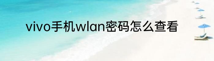 vivo手机wlan密码怎么查看