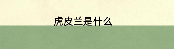 虎皮兰是什么