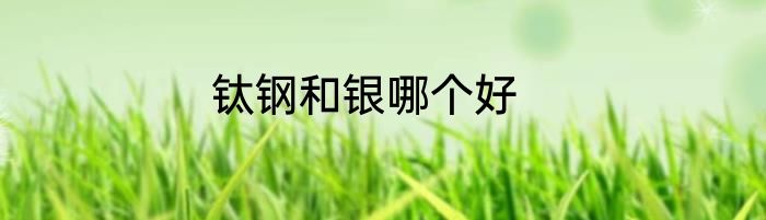 钛钢和银哪个好
