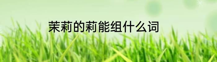茉莉的莉能组什么词