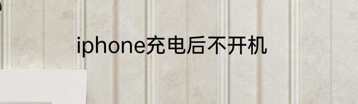 iphone充电后不开机