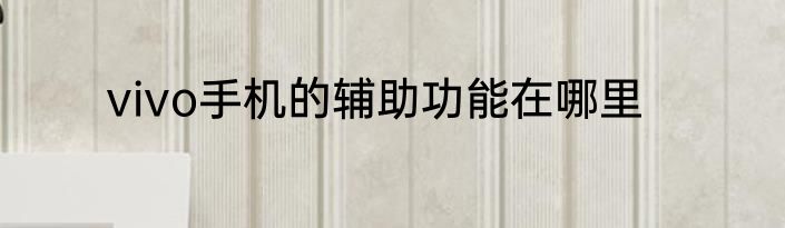 vivo手机的辅助功能在哪里