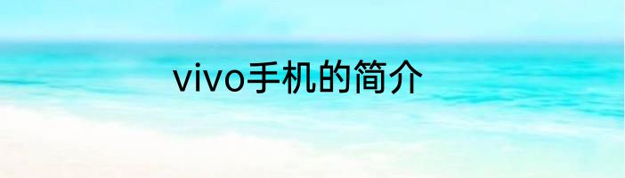 vivo手机的简介