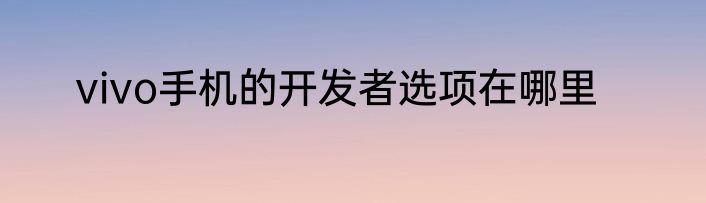 vivo手机的开发者选项在哪里
