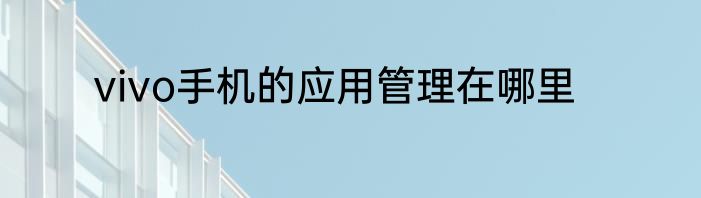 vivo手机的应用管理在哪里