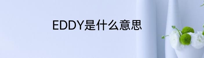 EDDY是什么意思