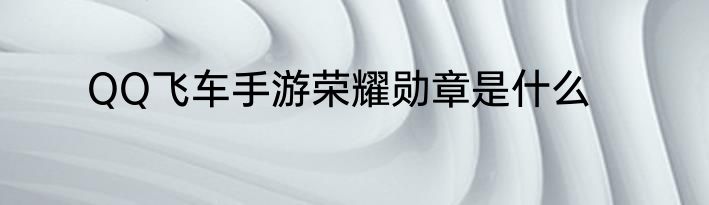 QQ飞车手游荣耀勋章是什么
