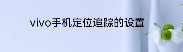 vivo手机定位追踪的设置