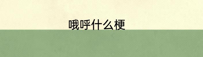 哦呼什么梗