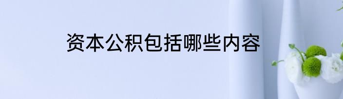 资本公积包括哪些内容