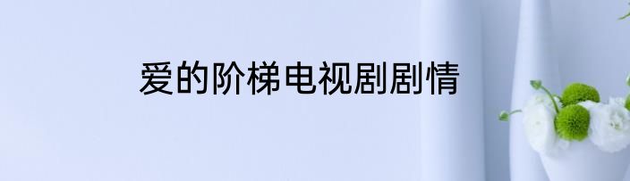 爱的阶梯电视剧剧情