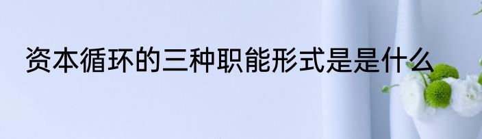 资本循环的三种职能形式是是什么