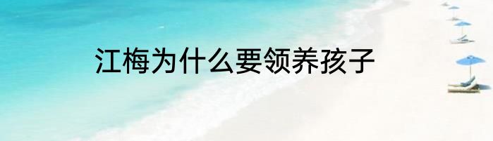 江梅为什么要领养孩子